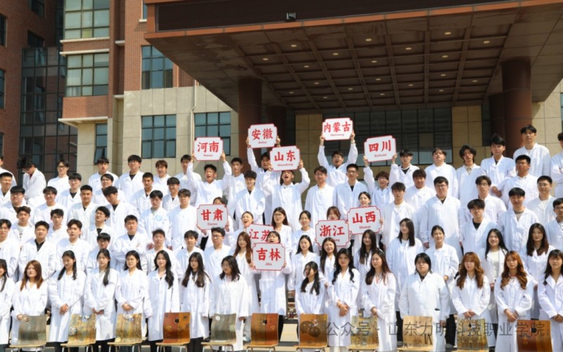 定格青春，共赴新程：力明学院2025年毕业大合影圆满举行
