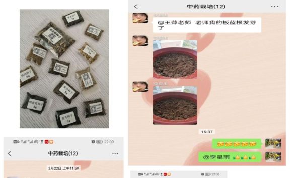 师生云端相约，课堂“疫”样精彩